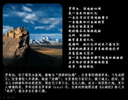 「探知问答」-一站式解答你的问题