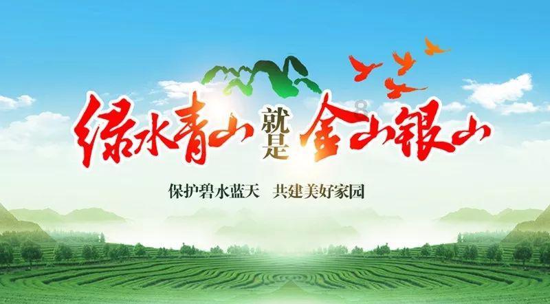 蓝狐视频