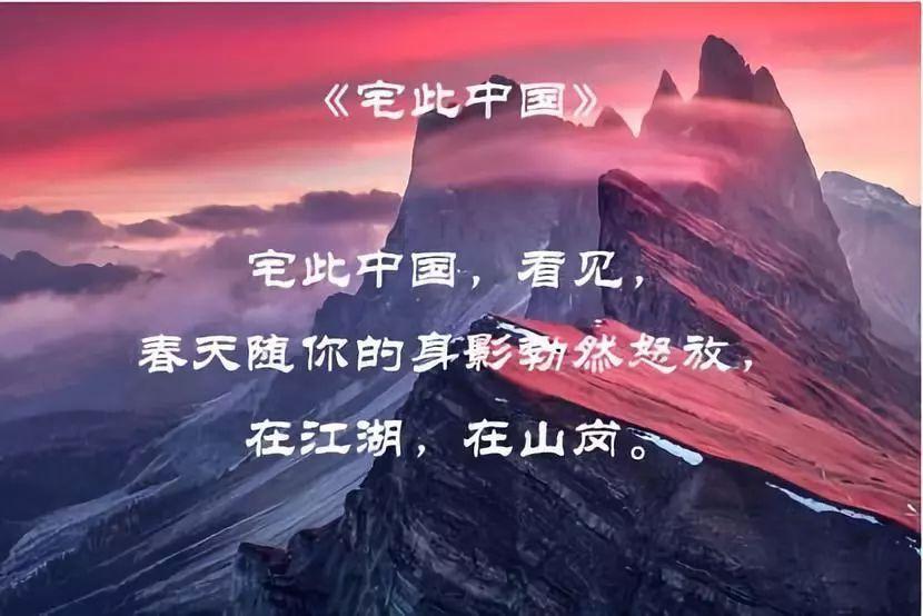 春雨直播app